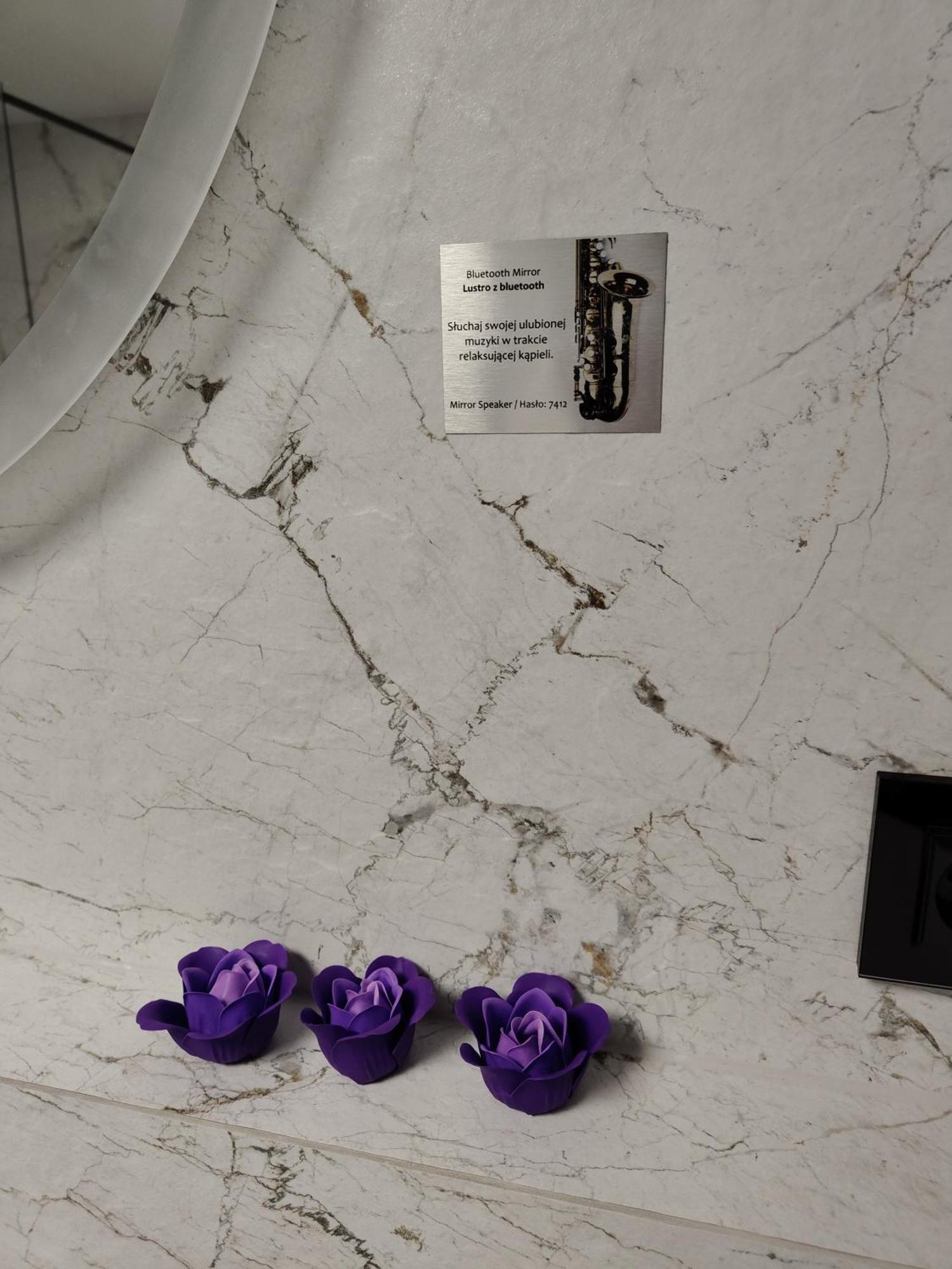 Apartmán Harmonica Premium Nowy Sącz Exteriér fotografie